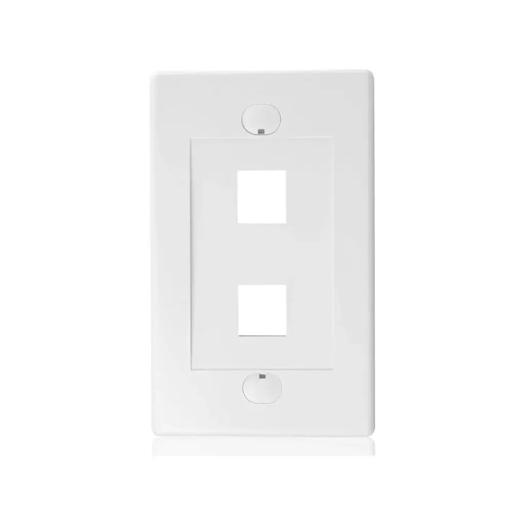 Cable Matters Keystone Wall Plate 2-Port