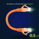 Cat 6 Network Patch Cable 0.5ft Orange