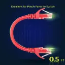 Cat 6 Network Patch Cable 0.5ft Red