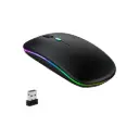 Rechargeable Bluetooth & Wireless Mouse